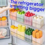 Refrigerator Storage Box Food Food Vegetable Fruit Classification