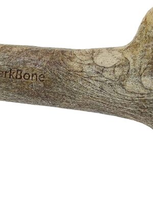 Pet Qwerks Dinosaur BarkBone - Nylon Dog Bone for Aggressive Chewers