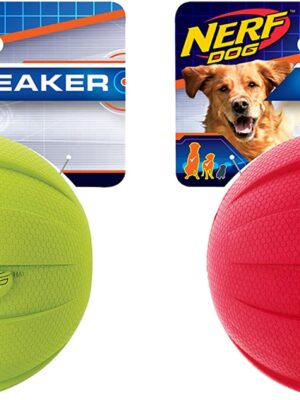 Nerf Dog Squeak Ball