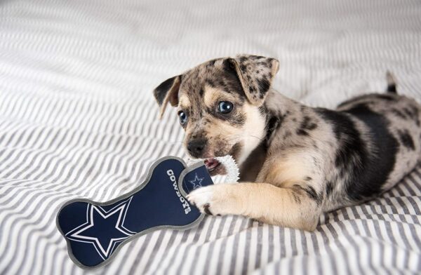 Pets First NFL Dog Dental Tug