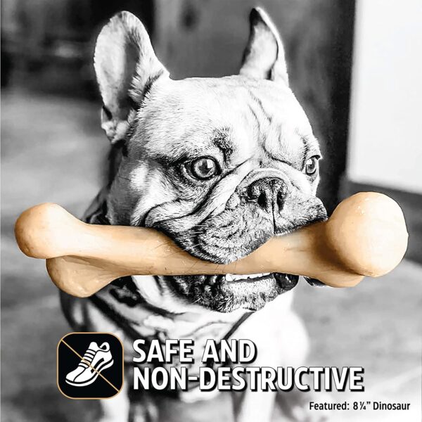 Pet Qwerks Dinosaur BarkBone - Nylon Dog Bone for Aggressive Chewers