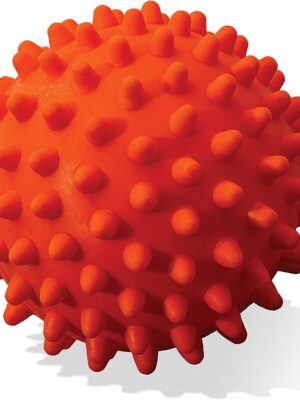 Franklin Sports Ready Set Fetch All Weather Ball