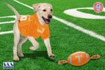 Pets First NCAA Tennessee Volunteers Football Dog Toy